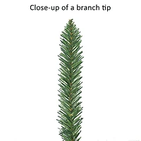7ft. Unlit Carson Artificial Pine Christmas Tree