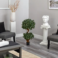 3ft. Potted Bay Laurel Double Ball Topiary Tree