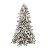 9ft. Pre-Lit Flocked Royal Majestic Spruce Tree, Clear Lights