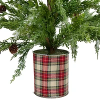 24" Unlit Iced Cedar Artificial Potted Christmas Tree