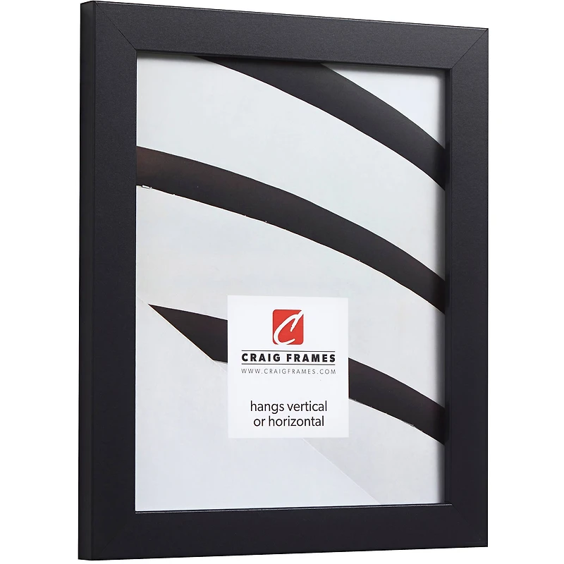 Craig Frames Essentials Mystic Satin Black Picture Frame