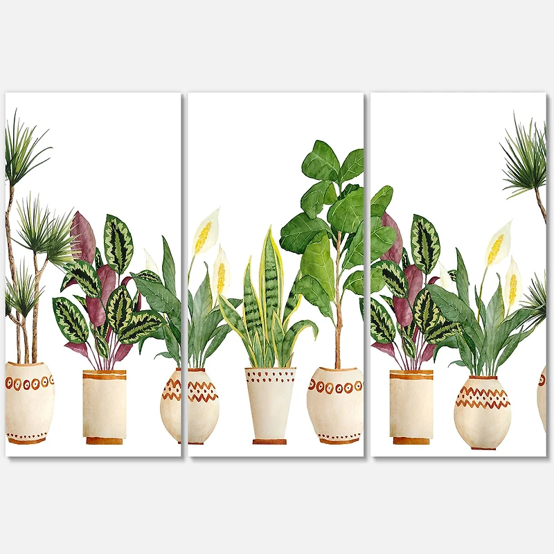 Designart - Trio of Houseplants Sanseviera Snake Plant