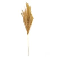 Wispy Pampas Grass Stem by Ashland®