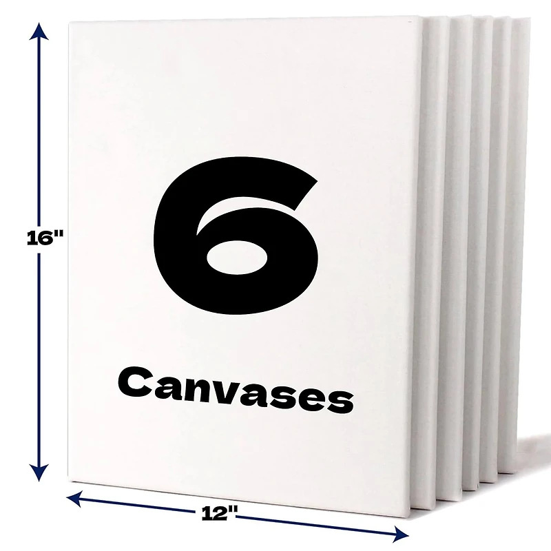 Artskills® 6 Pack 12" x 16" Stretched Primed Value Canvas