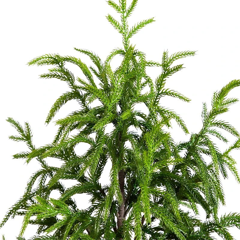 4ft. Unlit Norfolk Pine Artificial Potted Christmas Tree