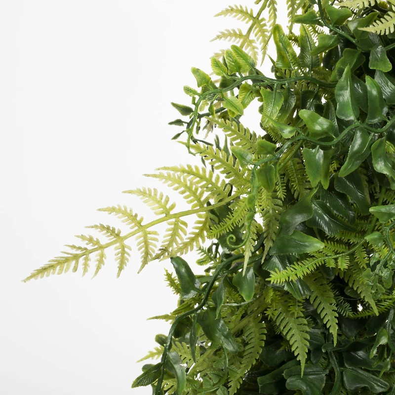 24" Green Buckler Fern & Grass Wreath