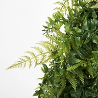 24" Green Buckler Fern & Grass Wreath