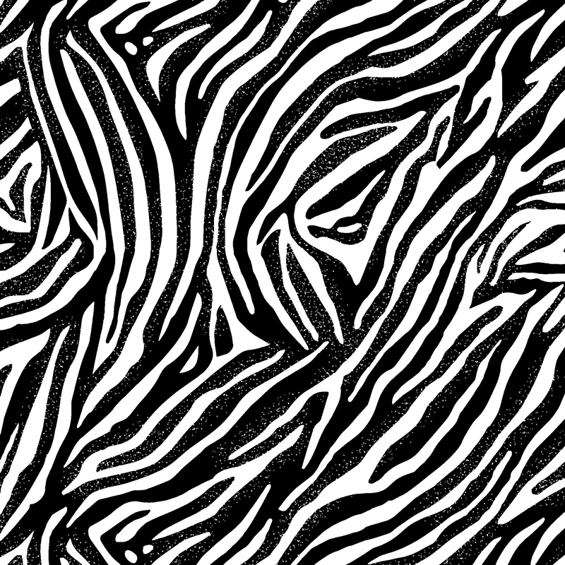 Black & White Zebra Cotton Fabric Bundle by Loops & Threads™