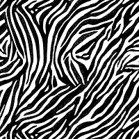 Black & White Zebra Cotton Fabric Bundle by Loops & Threads™