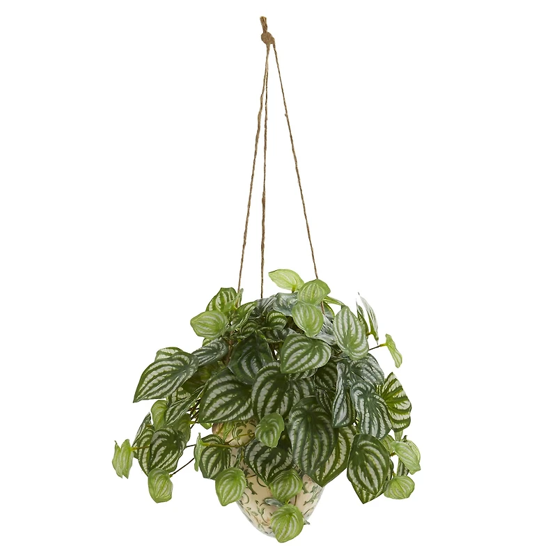 24" Watermelon Peperomia Plant in Hanging Vase