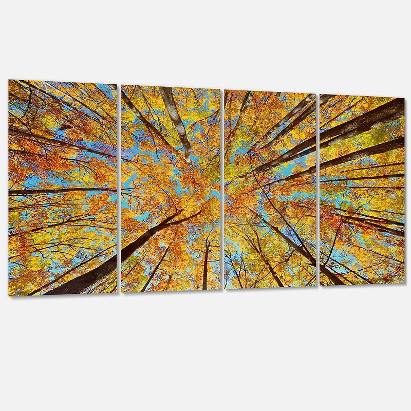 Designart - Tree Tops in Autumn Forest