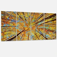 Designart - Tree Tops in Autumn Forest