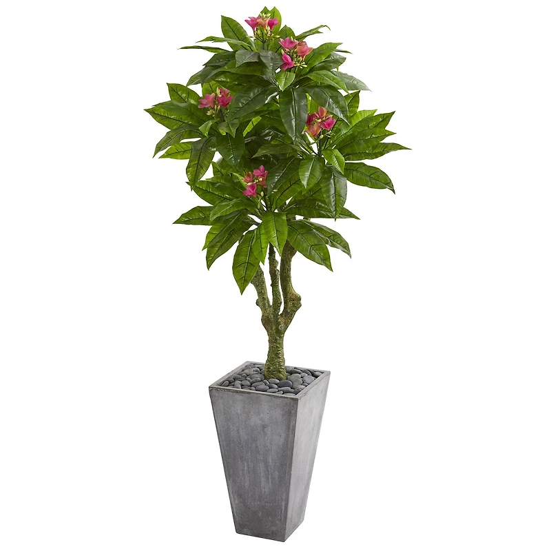 5.5ft. Plumeria Tree in Gray Planter