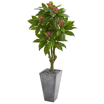 5.5ft. Plumeria Tree in Gray Planter