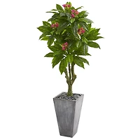 5.5ft. Plumeria Tree in Gray Planter