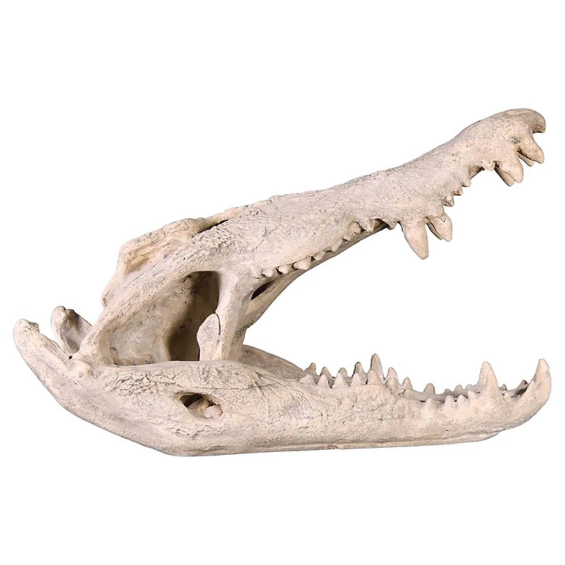 Design Toscano 28" Crocodile Skull Sculptural Artifact