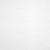 24 Packs: 25 ct. (600 total) White Tissue Paper by Celebrate It™