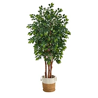 7ft. Sakaki Artificial Tree in Handmade Natural Jute and Cotton Planter