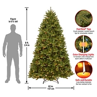 9 ft. Pre-Lit Feel Real® Newberry® Spruce Hinged Artificial Christmas Tree, Dual Color® LED Lights