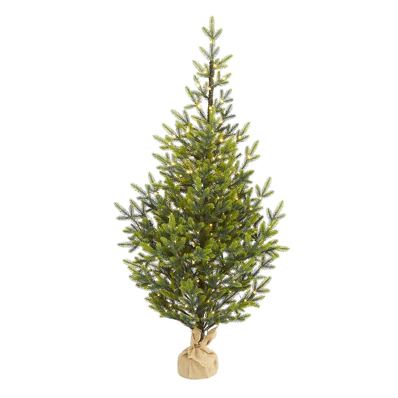 5ft. Pre-Lit Fraser Fir Natural Look Artificial Christmas Tree with Clear LED Lights