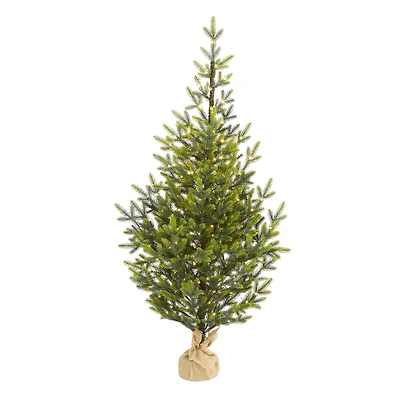 5ft. Pre-Lit Fraser Fir Natural Look Artificial Christmas Tree with Clear LED Lights