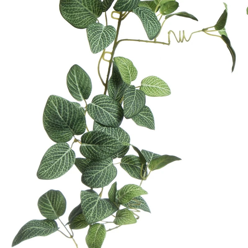 6ft. UV Fittonia Garland by Ashland®