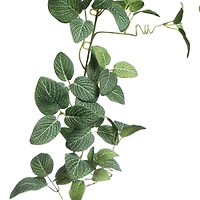 6ft. UV Fittonia Garland by Ashland®