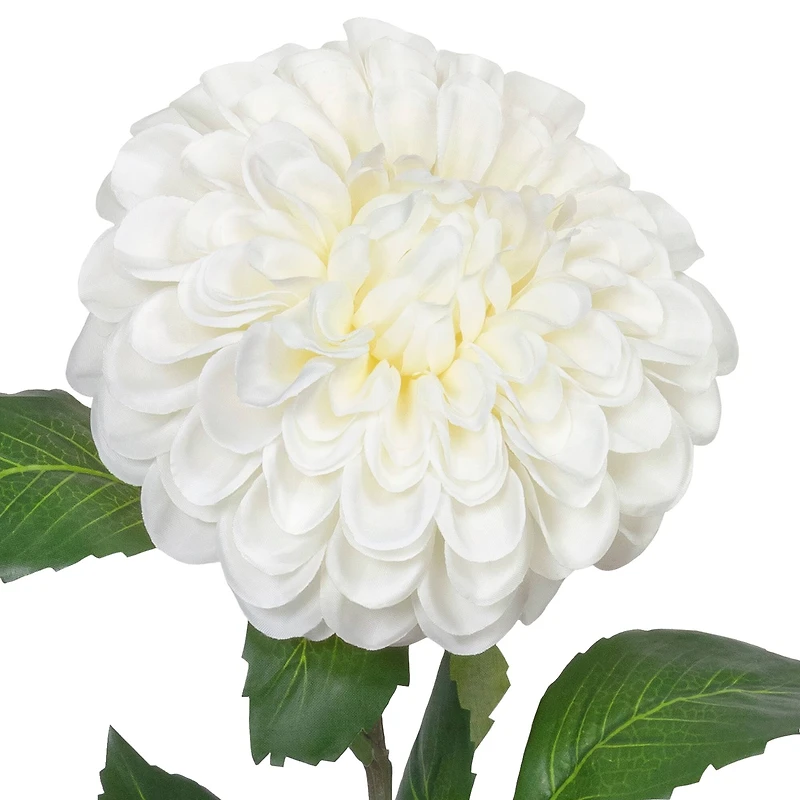 29" White Ball Dahlia Stem by Ashland®