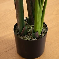 6ft. UV-Resistant Artificial Traveler's Palm Tree