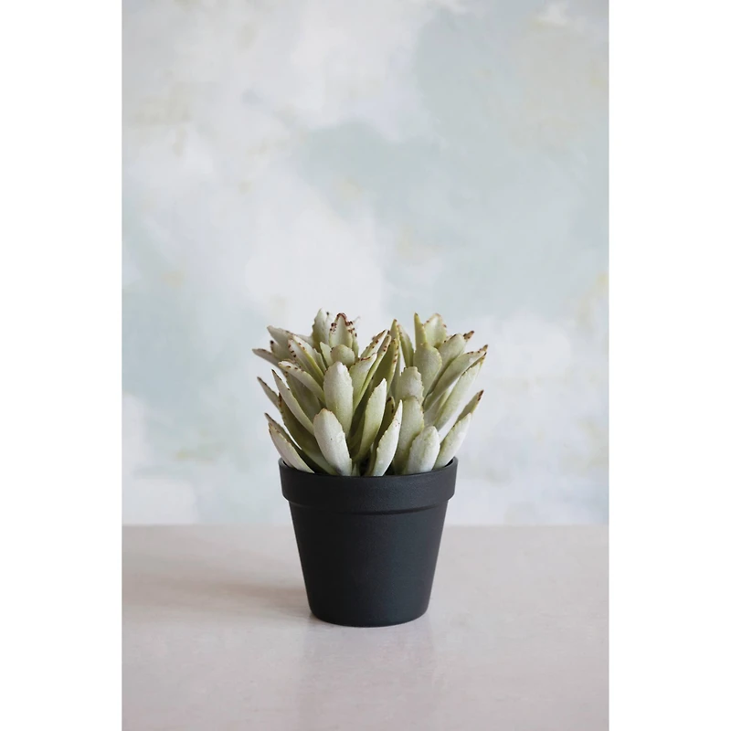 Hello Honey® Faux Succulent In Pot