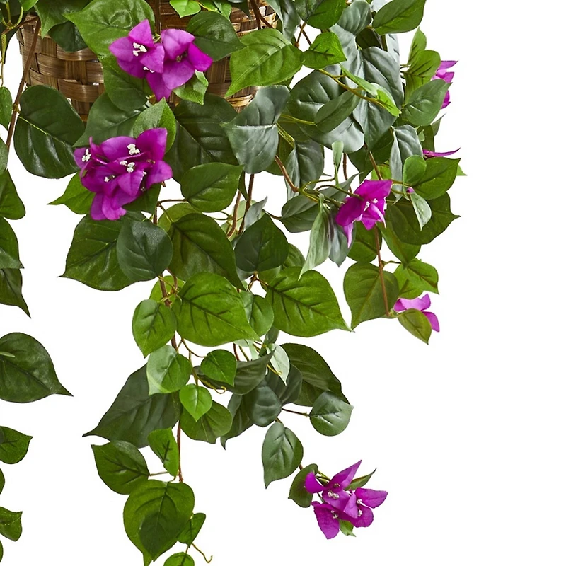2.5ft. Bougainvillea in Woven Planter