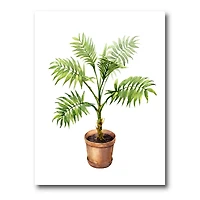 Designart - Palm In Clay Flowerpot