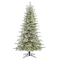 7.5ft. Pre-Lit Frosted Eastern Fraser Fir Artificial Christmas Tree, Warm White LED Lights