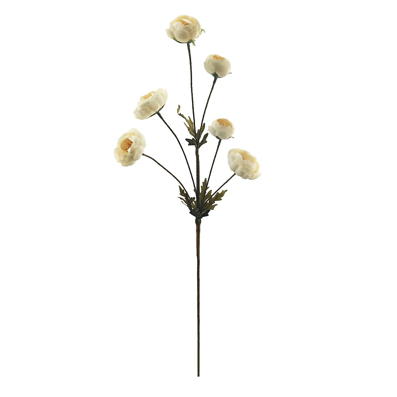 32" Ranunculus Stem by Ashland