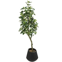 49" Green Faux Foliage Eucalyptus Artificial Tree With Black Porcelain Pot