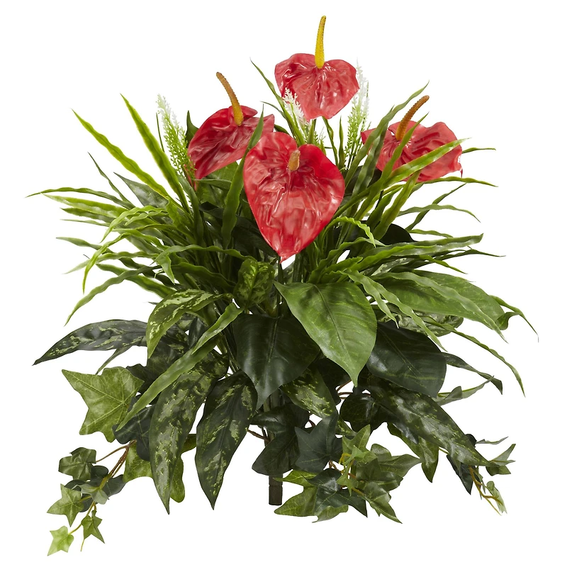 Red Mixed Anthurium Bush, 2ct.