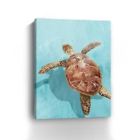 Lumaprints Ocean Deep Turtle II Canvas Giclée