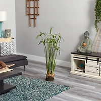 4ft. Papyrus Plant With Faux Soil Arrangement