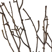 Brown Twig Stem by Ashland®