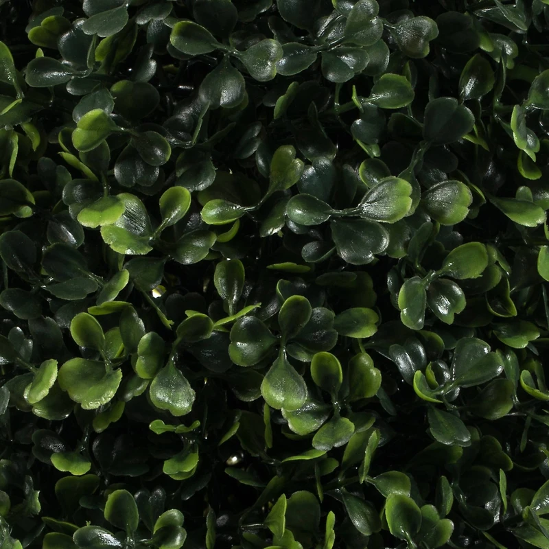 5ft. Potted Boxwood Cone Topiary Tree