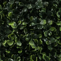 5ft. Potted Boxwood Cone Topiary Tree