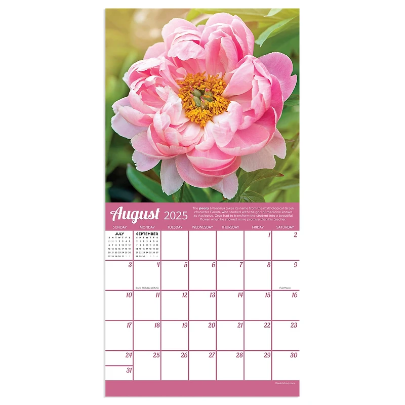 TF Publishing 2025 Flowers Mini Calendar