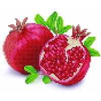 Diamond Dotz® Good Fortune Pomegranate Diamond Painting Kit