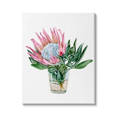 Stupell Industries Blushing Protea Flower Glass Watercolor Flower Still Life Canvas Wall Art