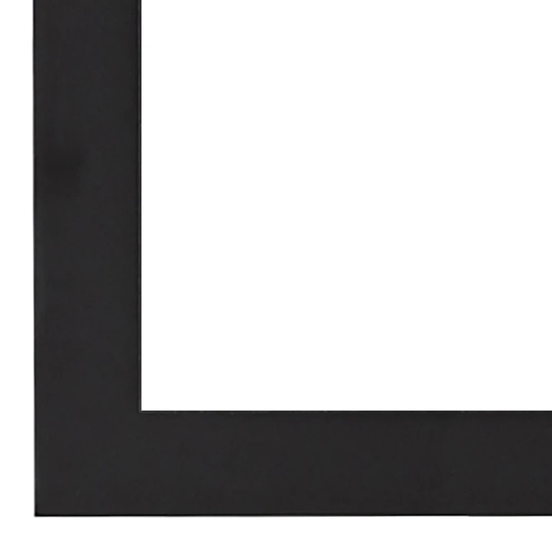 Black 2-Opening Gallery Frame with Black Double Mat by Studio Décor®