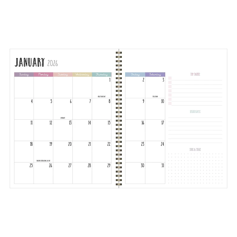 TF Publishing 2025-2026 Striped Down Large Weekly/Monthly Planner
