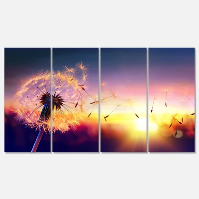 Designart - Dandelion at Sunset Freedom to Wish