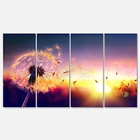 Designart - Dandelion at Sunset Freedom to Wish