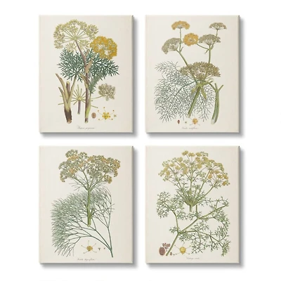 Stupell Industries Green & Yellow Vintage Scientific Floral Herbs Wall Art, 4ct.