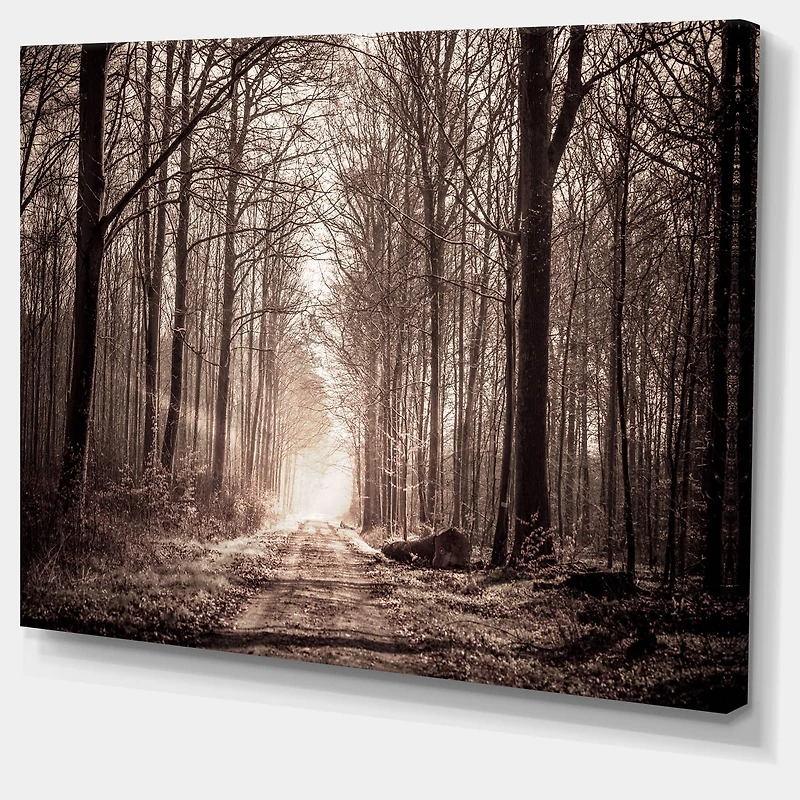 Designart - Forest Trail in Sepia
